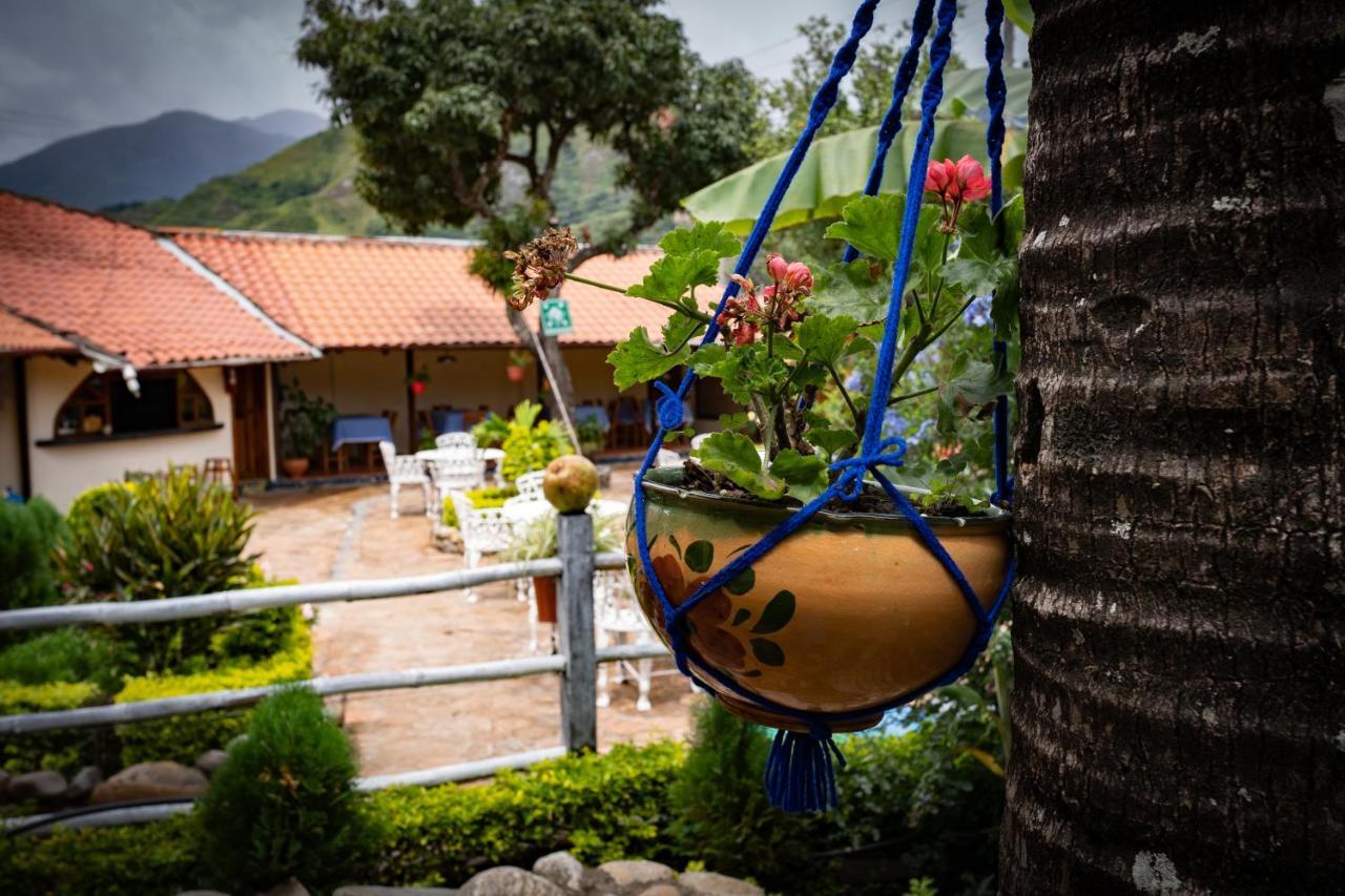 Hostal Jardin Escondido Vilcabamba Buitenkant foto